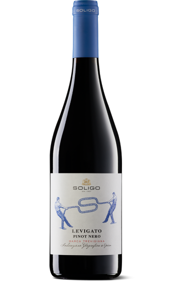 LEVIGATO PINOT NERO