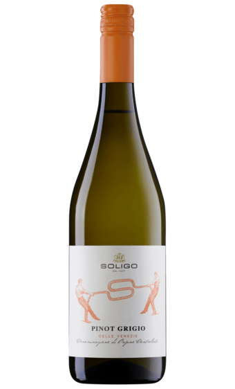 PINOT GRIGIO