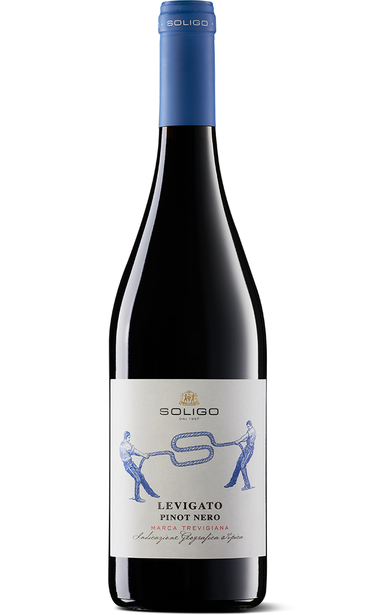 LEVIGATO PINOT NERO