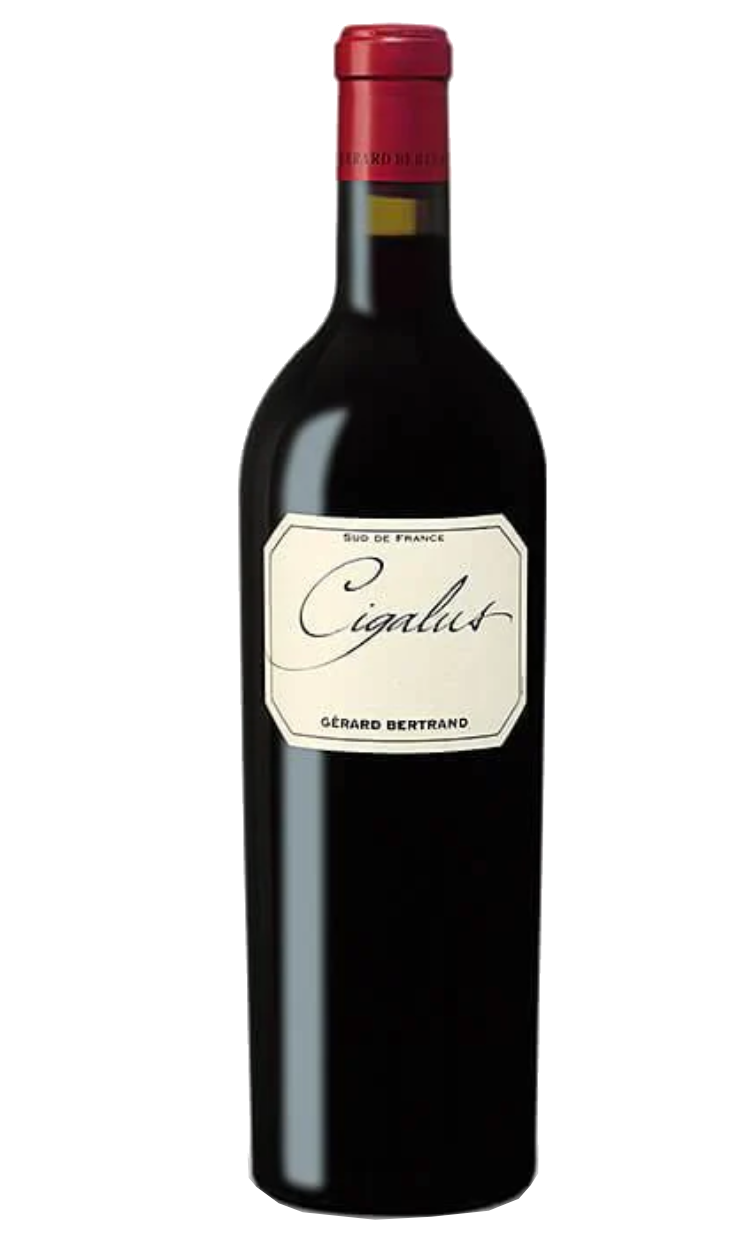 CIGALUS ROUGE